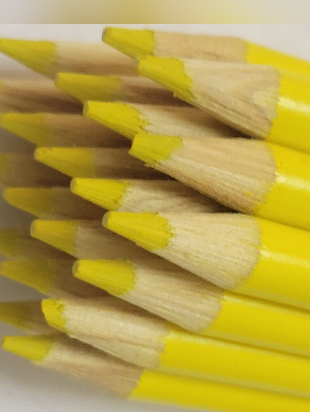 20ct Crayola Colored Pencils (Yellow) Single Color Bulk Lot